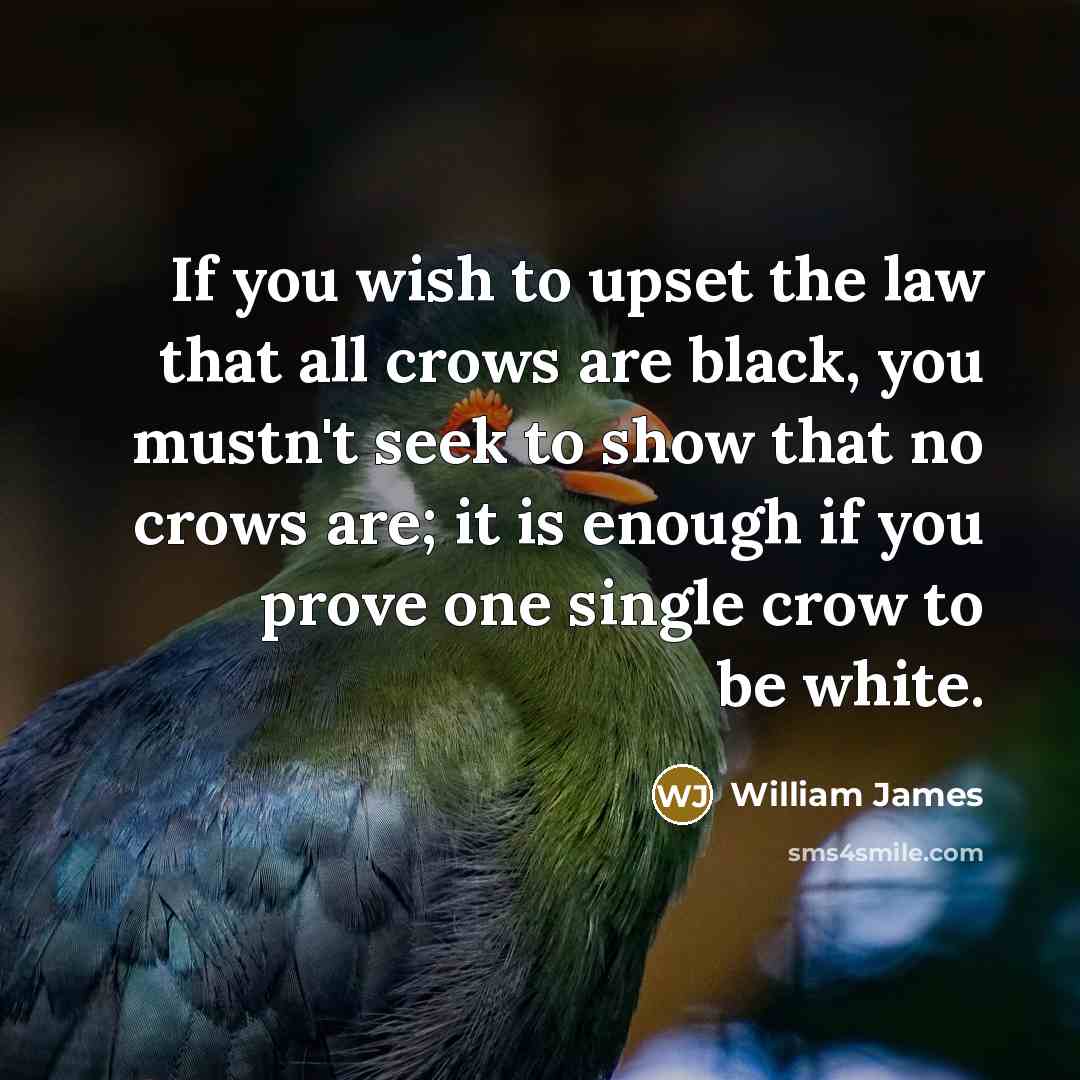 “If you wish to upset the law that all crows are black, you mustn't seek to show that no crows are; it is enough if you prove one single crow to be white.” quote by William James