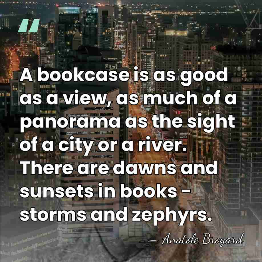 A bookcase is as good as a view, as much of a&hellip; - Anatole Broyard