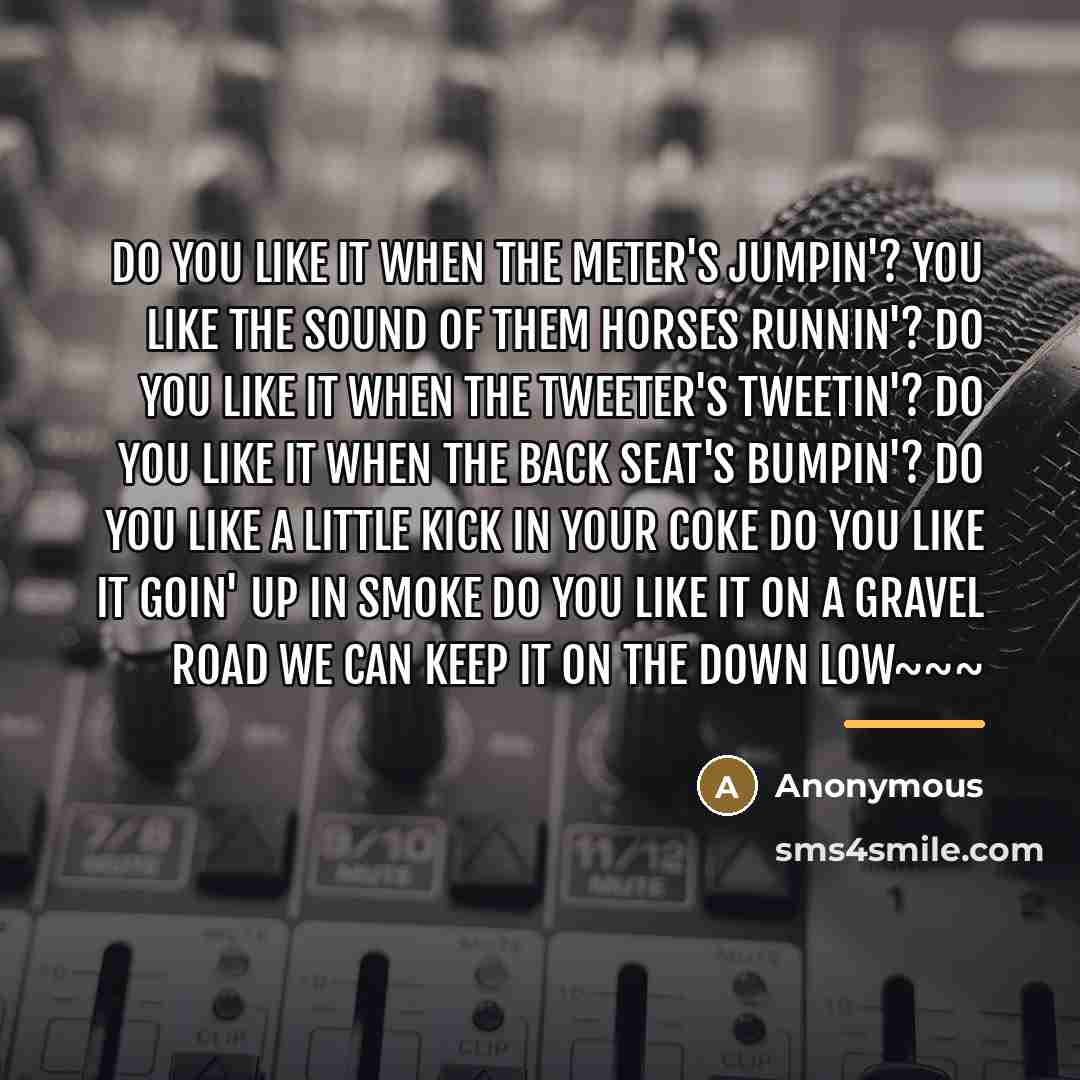 “Do you like it when the meter's jumpin'? You like…” quote by Anonymous