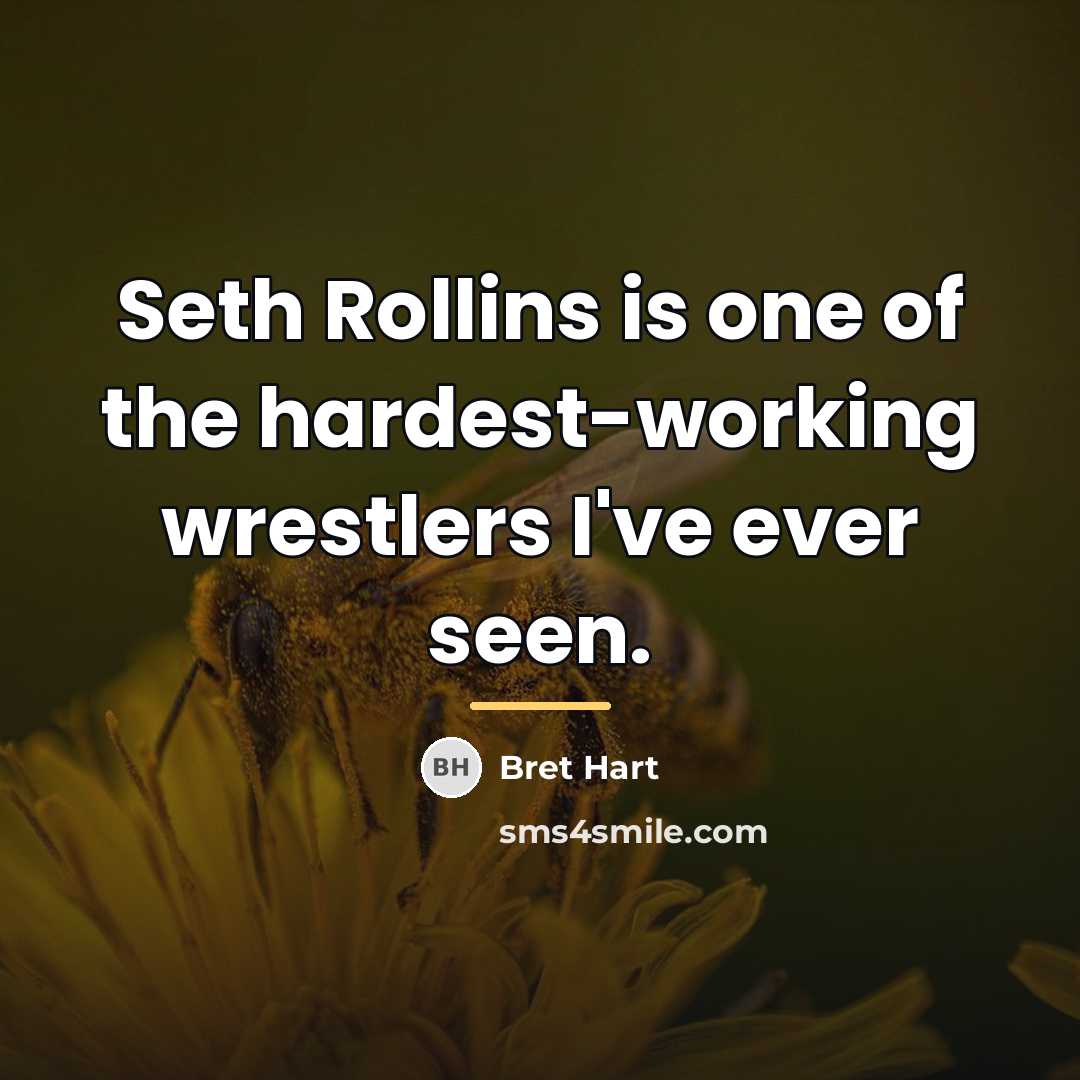“Seth Rollins is one of the hardest-working wrestlers I've ever…” quote by Bret Hart