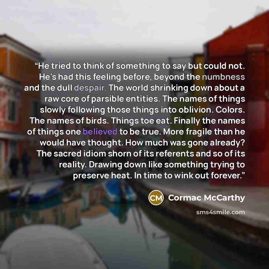 “He tried to think of something to say but could not. He's had this feeling before, beyond the numbness and the dull despair. The world shrinking down about a raw core of parsible entities. The names of things slowly following those things into oblivion. Colors. The names of birds. Things toe eat…” quote by Cormac McCarthy