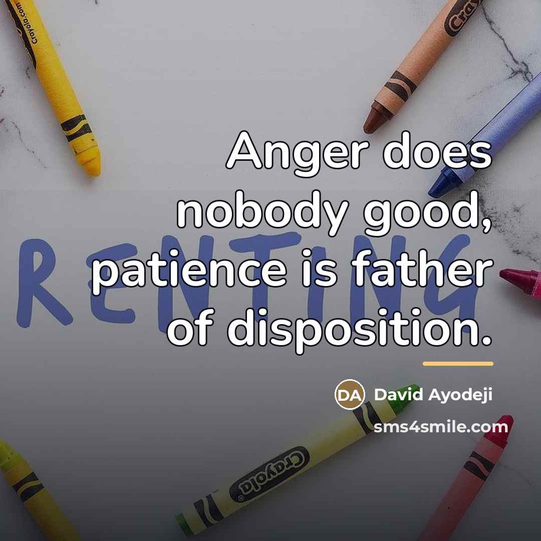 “Anger does nobody good, patience is father of disposition.…” quote by David Ayodeji