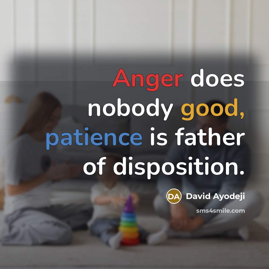 “Anger does nobody good, patience is father of disposition.” quote by David Ayodeji
