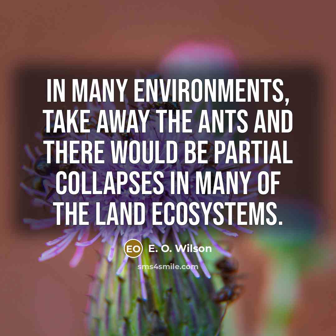 “In many environments, take away the ants and there would…” quote by E. O. Wilson