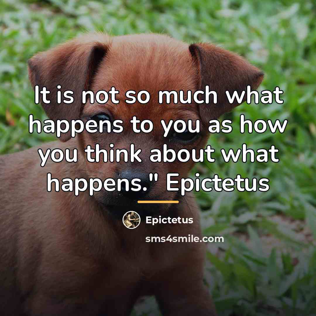 “It is not so much what happens to you as…” quote by Epictetus