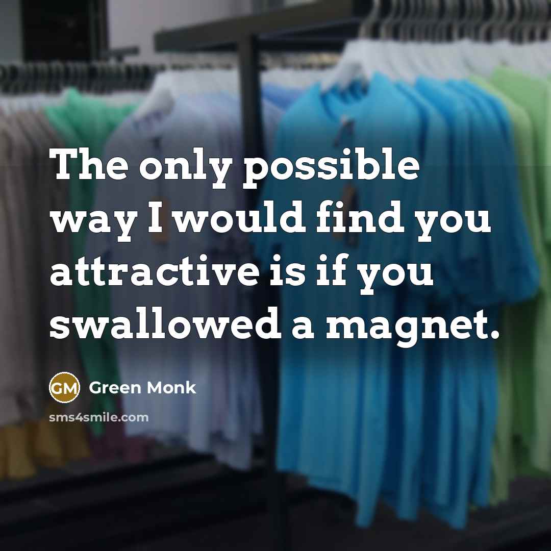 “The only possible way I would find you attractive is…” quote by Green Monk