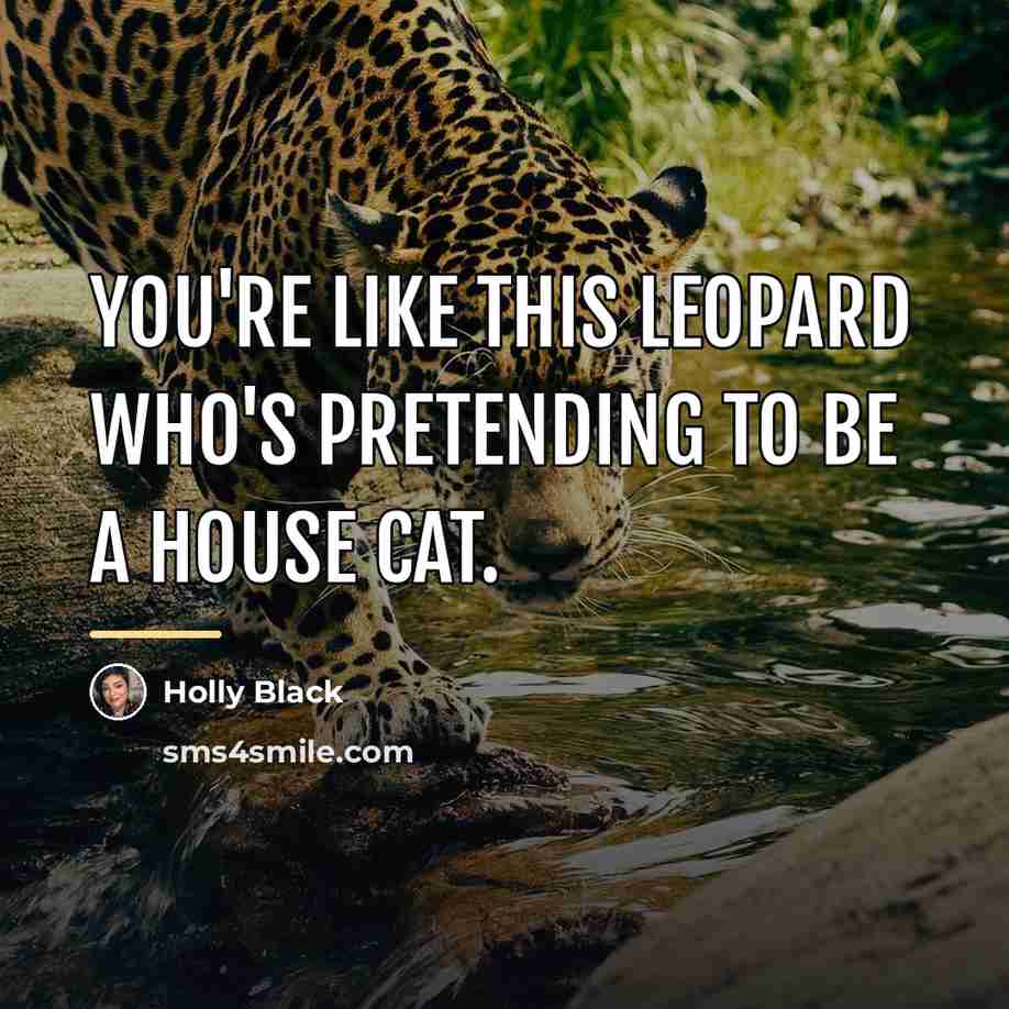 “You're like this leopard who's pretending to be a house…” quote by Holly Black