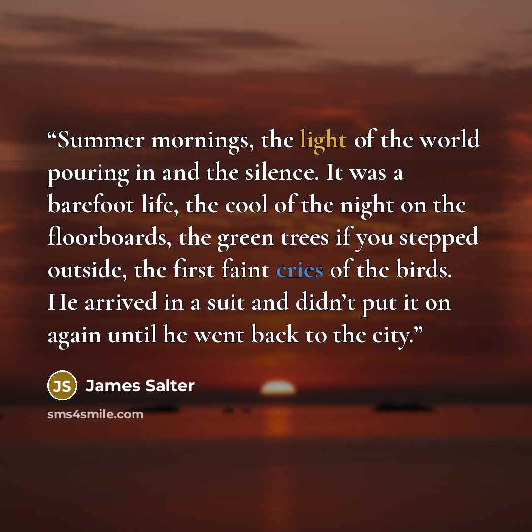 “Summer mornings, the light of the world pouring in and the silence. It was a barefoot life, the cool of the night on the floorboards, the green trees if you stepped outside, the first faint cries of the birds. He arrived in a suit and didn’t put it on again until he went back to the city.” quote by James Salter