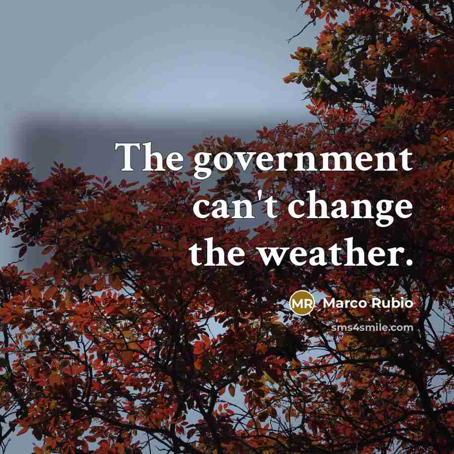 “The government can't change the weather.…” quote by Marco Rubio