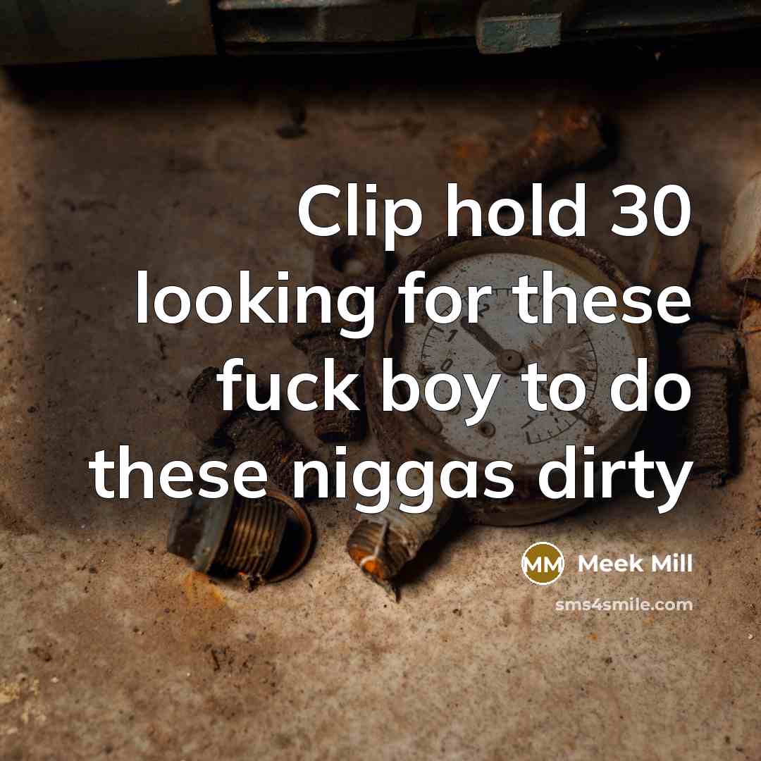 “Clip hold 30 looking for these fuck boy to do…” quote by Meek Mill