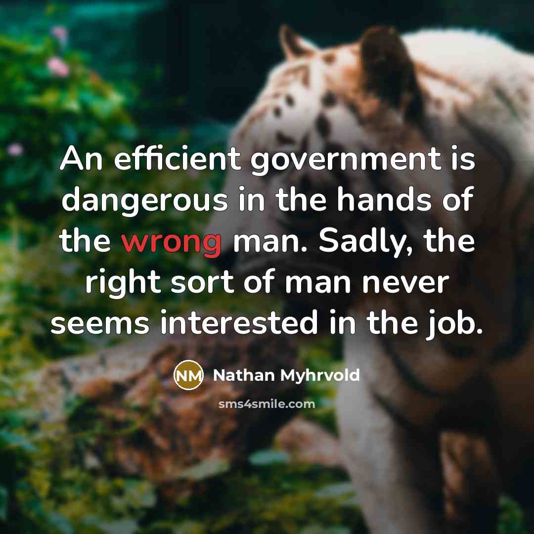 “An efficient government is dangerous in the hands of the…” quote by Nathan Myhrvold