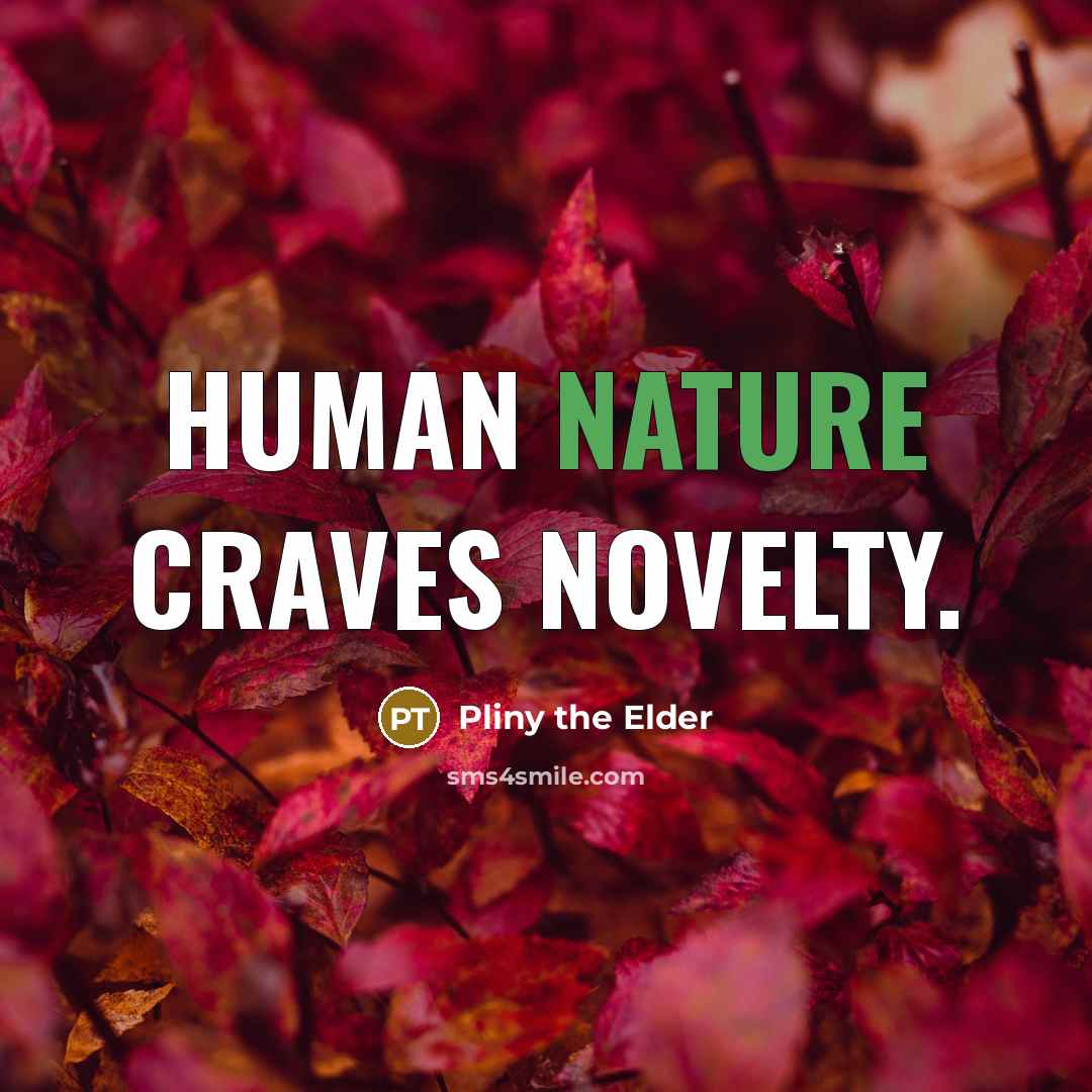 “Human nature craves novelty.…” quote by Pliny the Elder