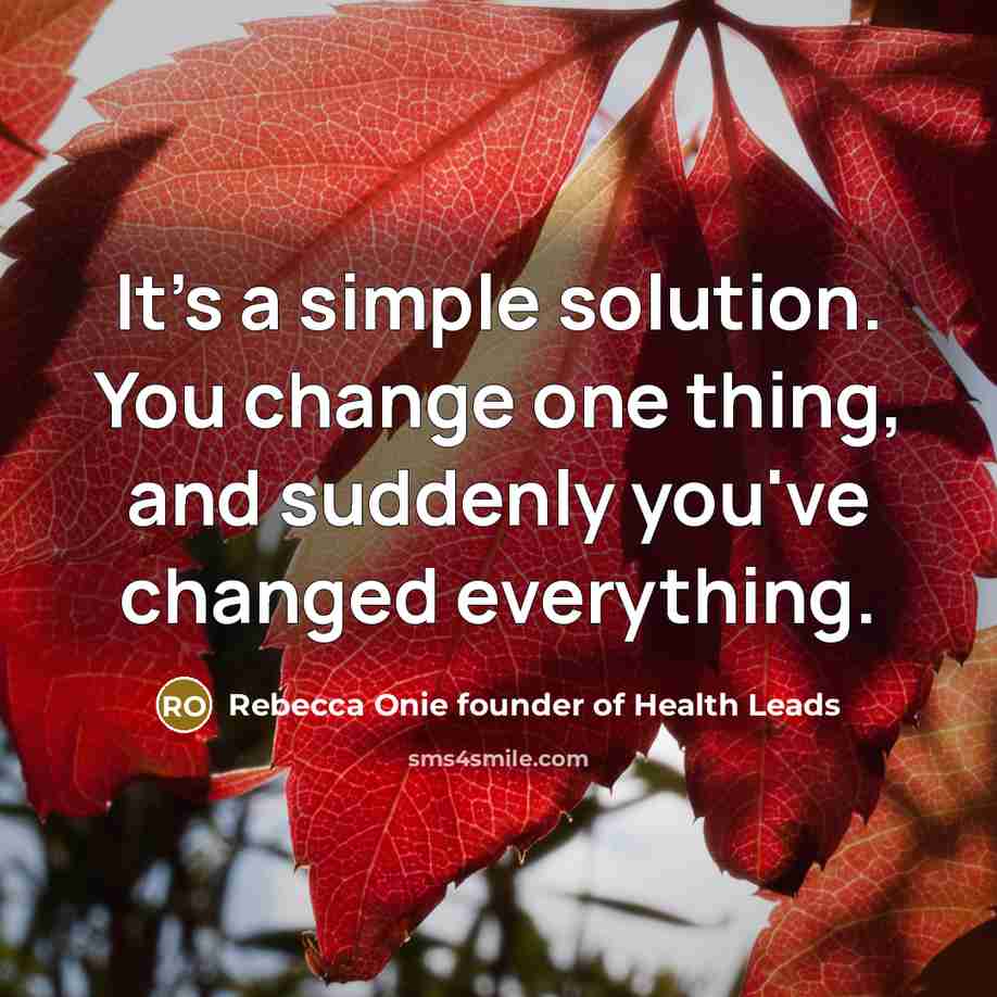 “It's a simple solution. You change one thing, and suddenly you've changed everything.” quote by Rebecca Onie founder of Health Leads