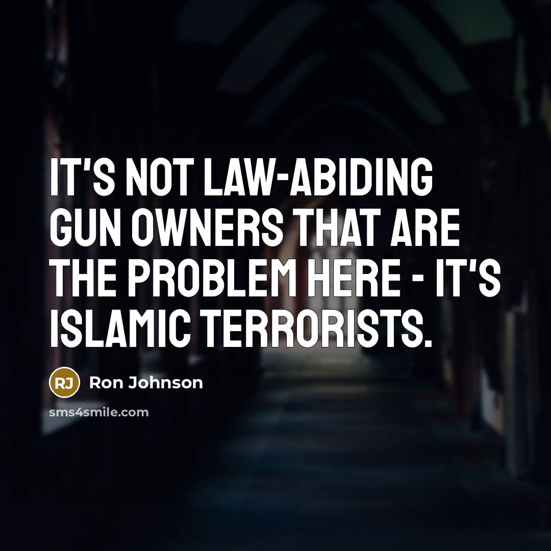“It's not law-abiding gun owners that are the problem here…” quote by Ron Johnson