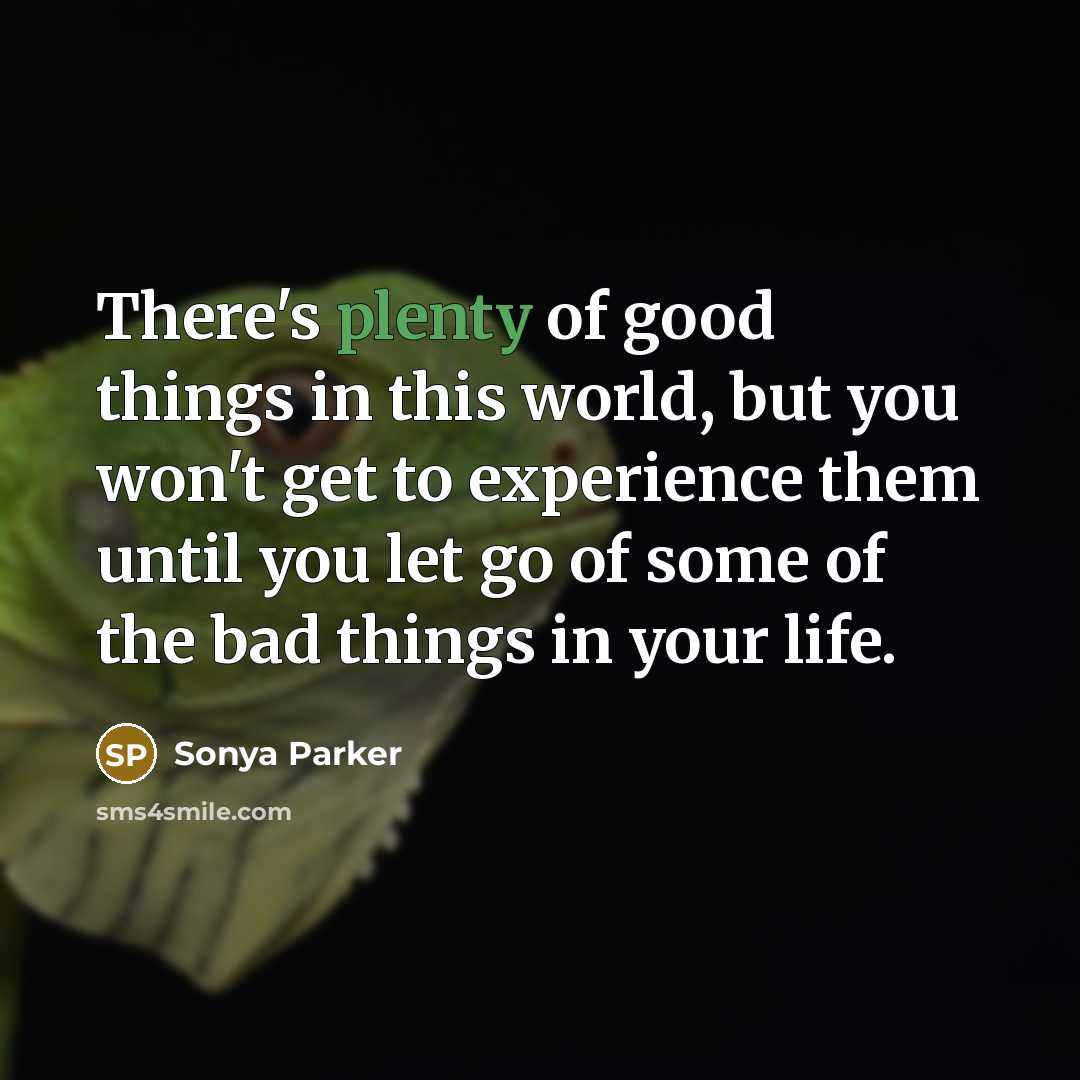 “There's plenty of good things in this world, but you…” quote by Sonya Parker