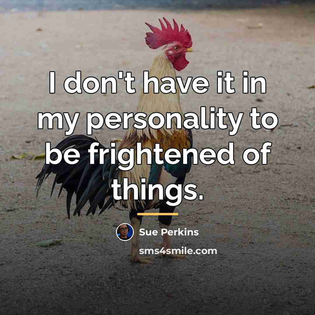 “I don't have it in my personality to be frightened…” quote by Sue Perkins