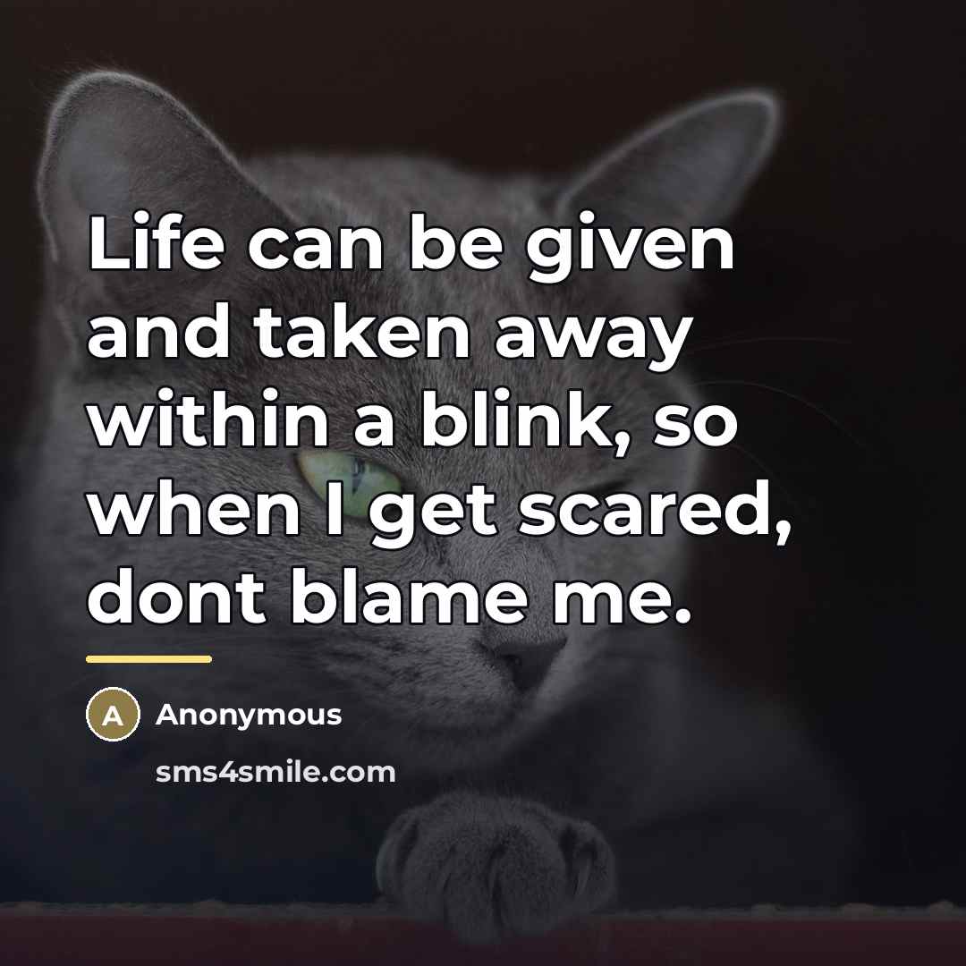 “Life can be given and taken away within a blink,…” quote by Anonymous