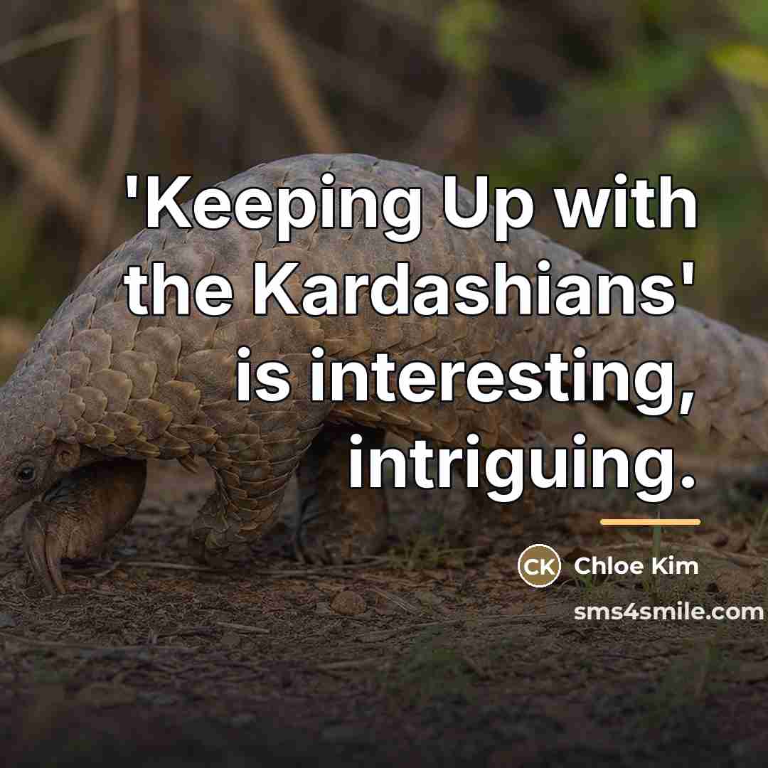 “'Keeping Up with the Kardashians' is interesting, intriguing.…” quote by Chloe Kim