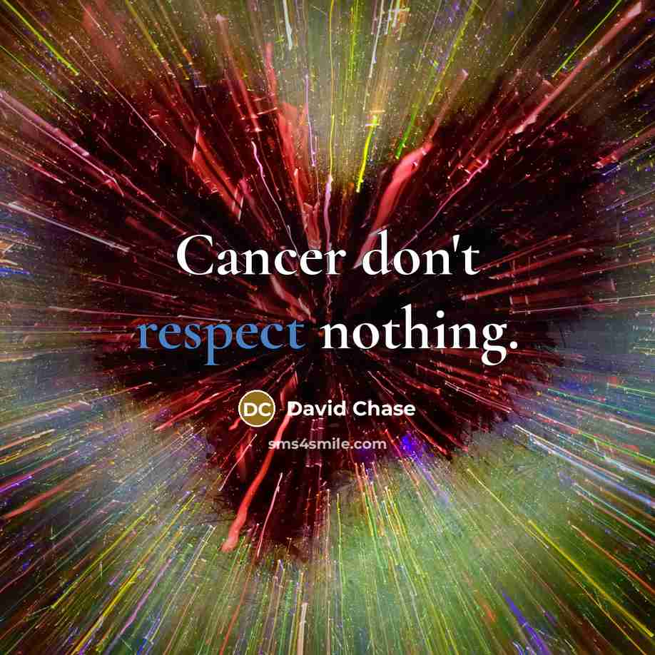 “Cancer don't respect nothing.…” quote by David Chase