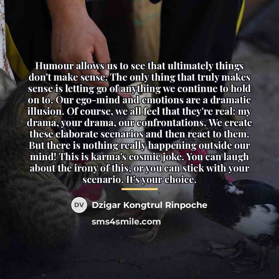 “Humour allows us to see that ultimately things don't make…” quote by Dzigar Kongtrul Rinpoche