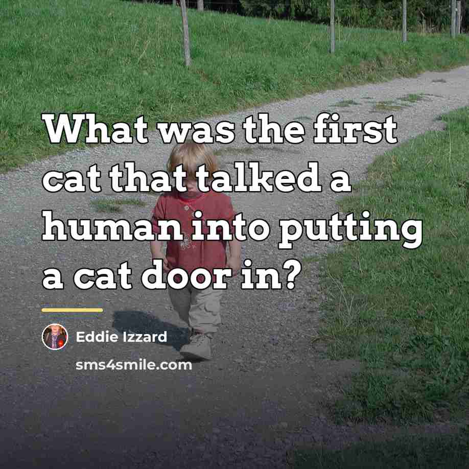 “What was the first cat that talked a human into…” quote by Eddie Izzard
