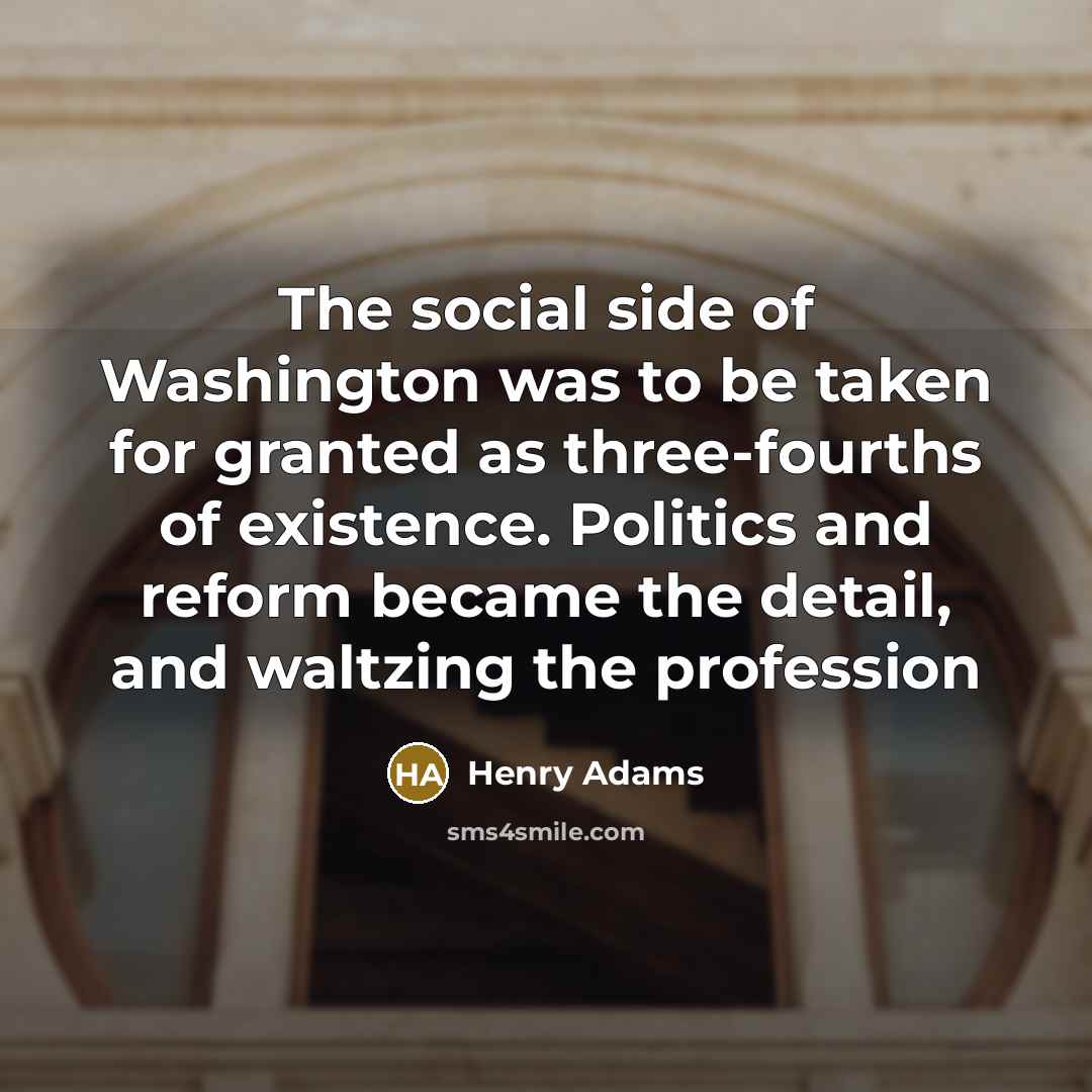 “The social side of Washington was to be taken for…” quote by Henry Adams