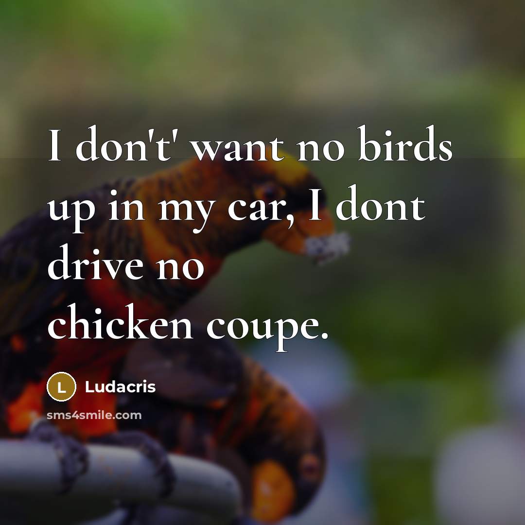 “I don't' want no birds up in my car, I…” quote by Ludacris