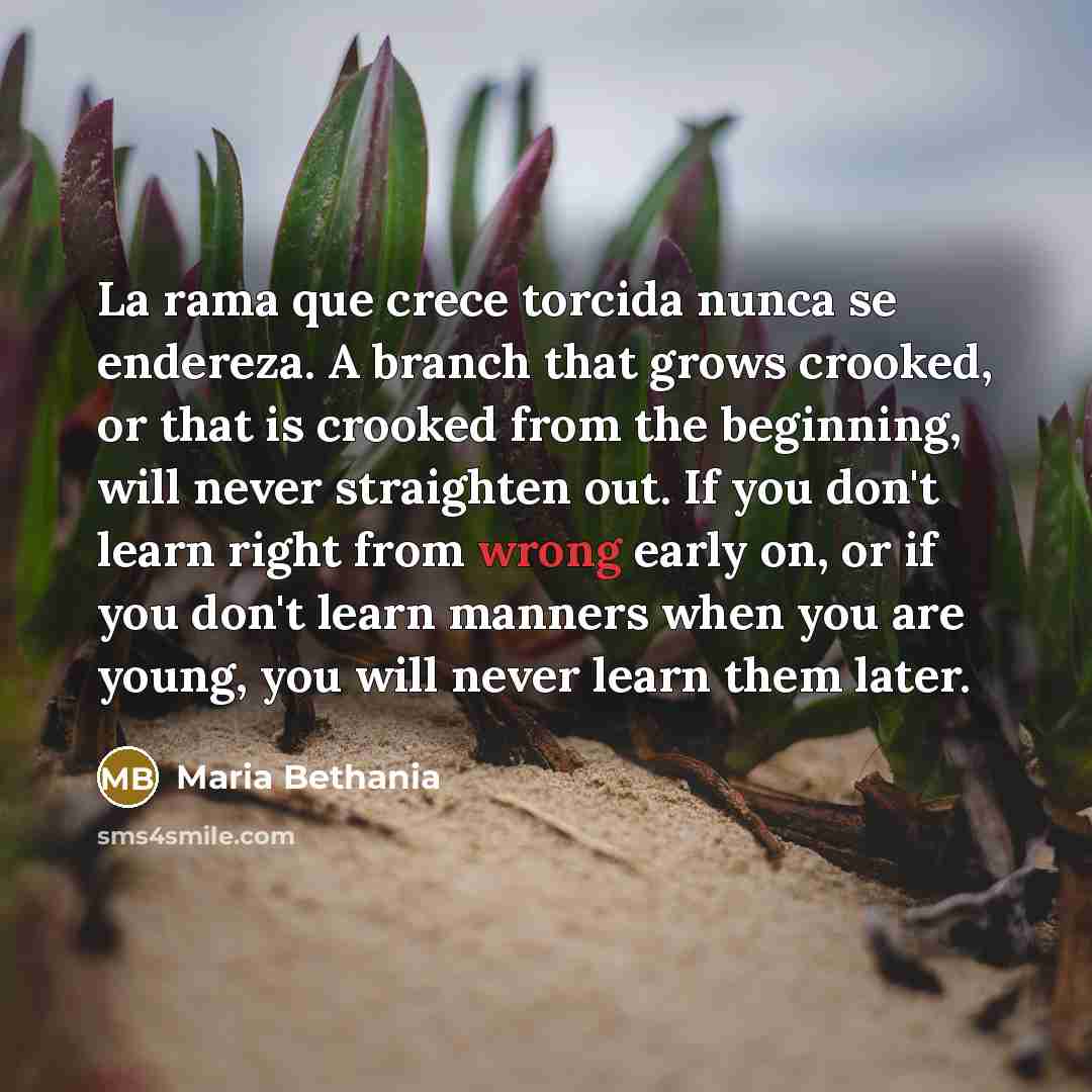 “La rama que crece torcida nunca se endereza. A branch that grows crooked, or that is crooked from the beginning, will never straighten out. If you don't learn right from wrong early on, or if you don't learn manners when you are young, you will never learn them later.” quote by Maria Bethania