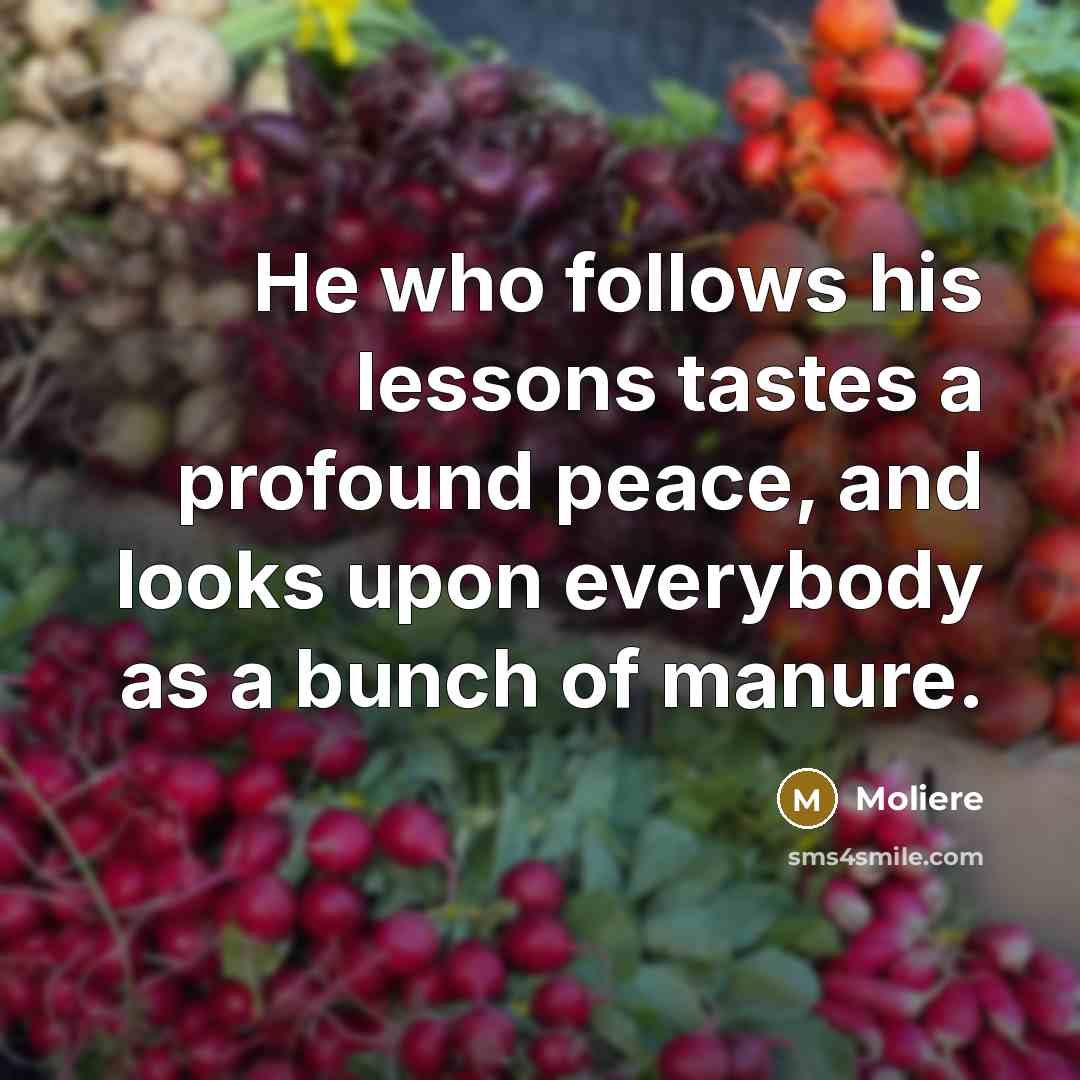 “He who follows his lessons tastes a profound peace, and…” quote by Moliere