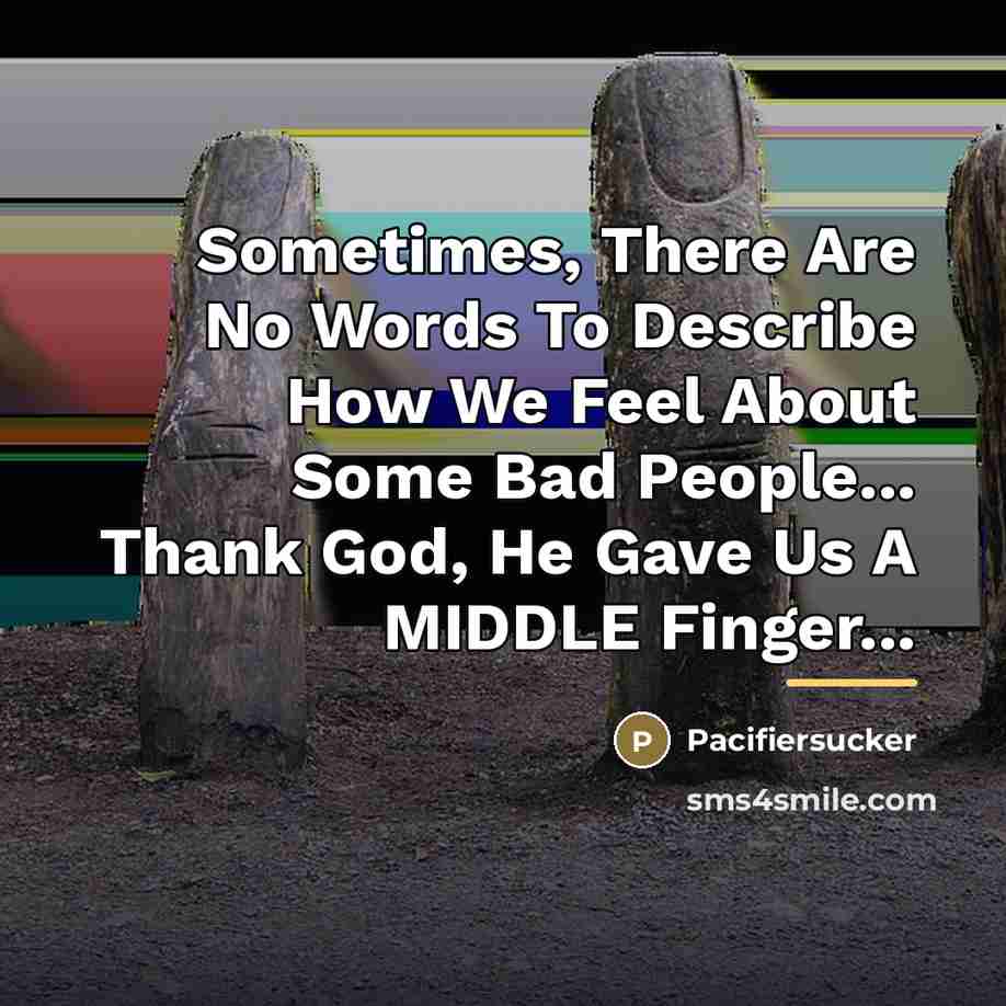 “Sometimes, There Are No Words To Describe How We Feel…” quote by Pacifiersucker