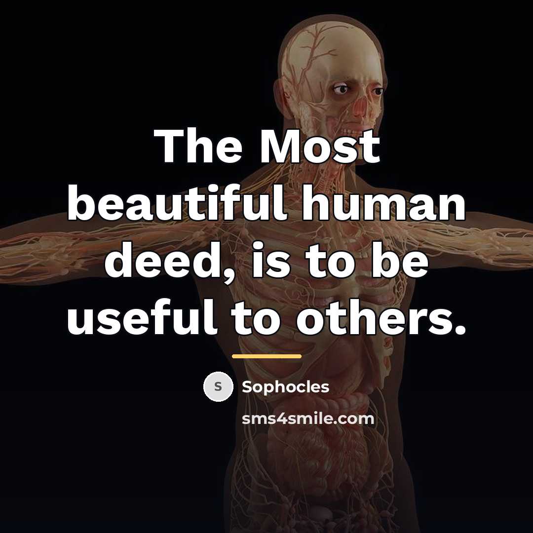 “The Most beautiful human deed, is to be useful to…” quote by Sophocles