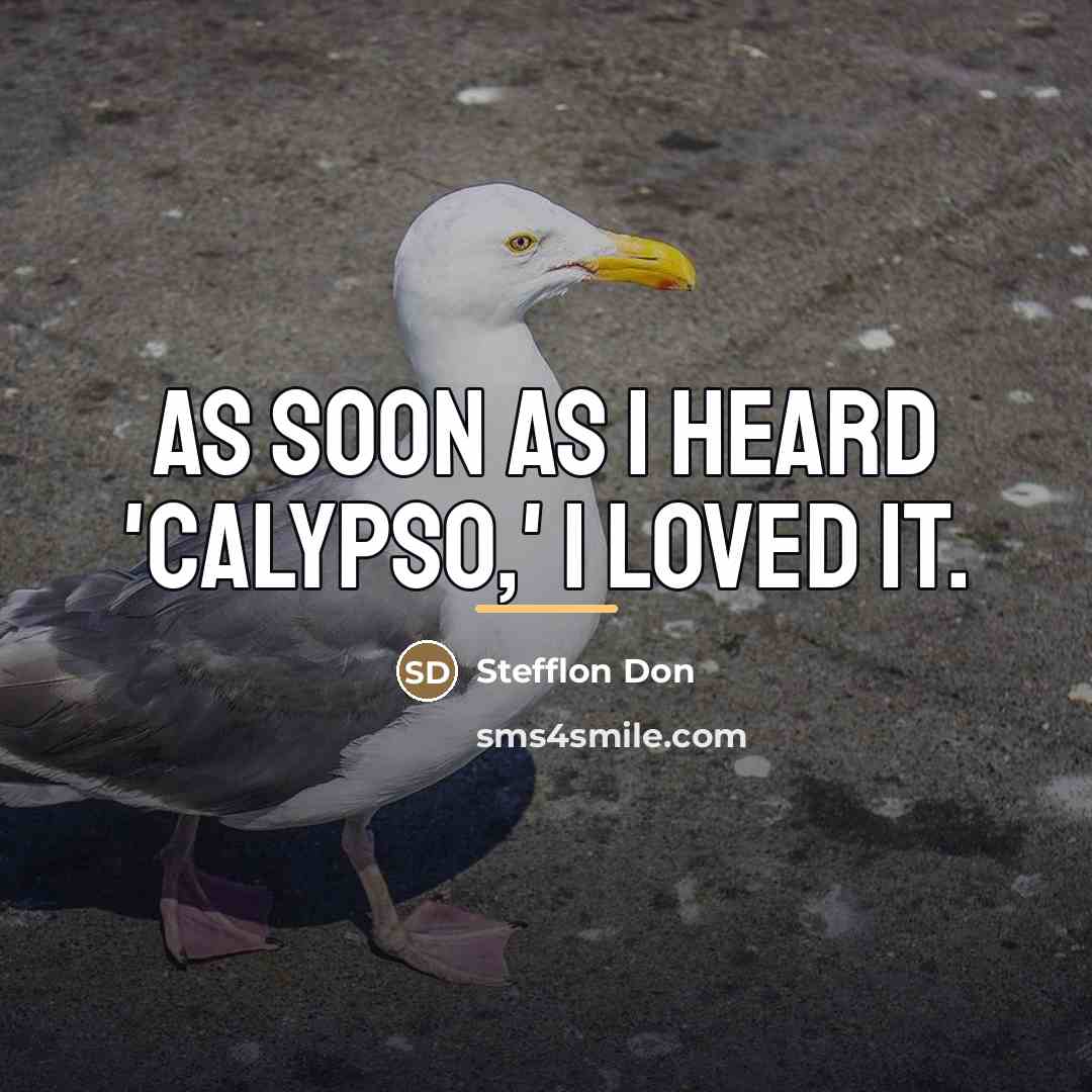 “As soon as I heard 'Calypso,' I loved it.…” quote by Stefflon Don