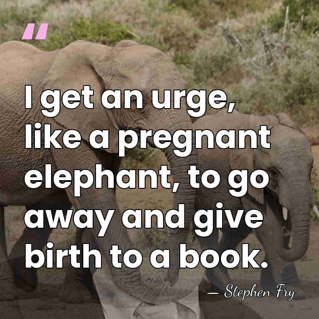 I get an urge, like a pregnant elephant, to go away and&hellip; - Stephen Fry