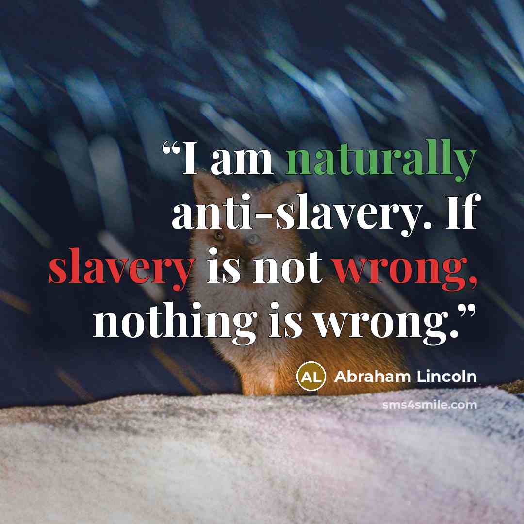 “I am naturally anti-slavery. If slavery is not wrong, nothing is wrong.” quote by Abraham Lincoln