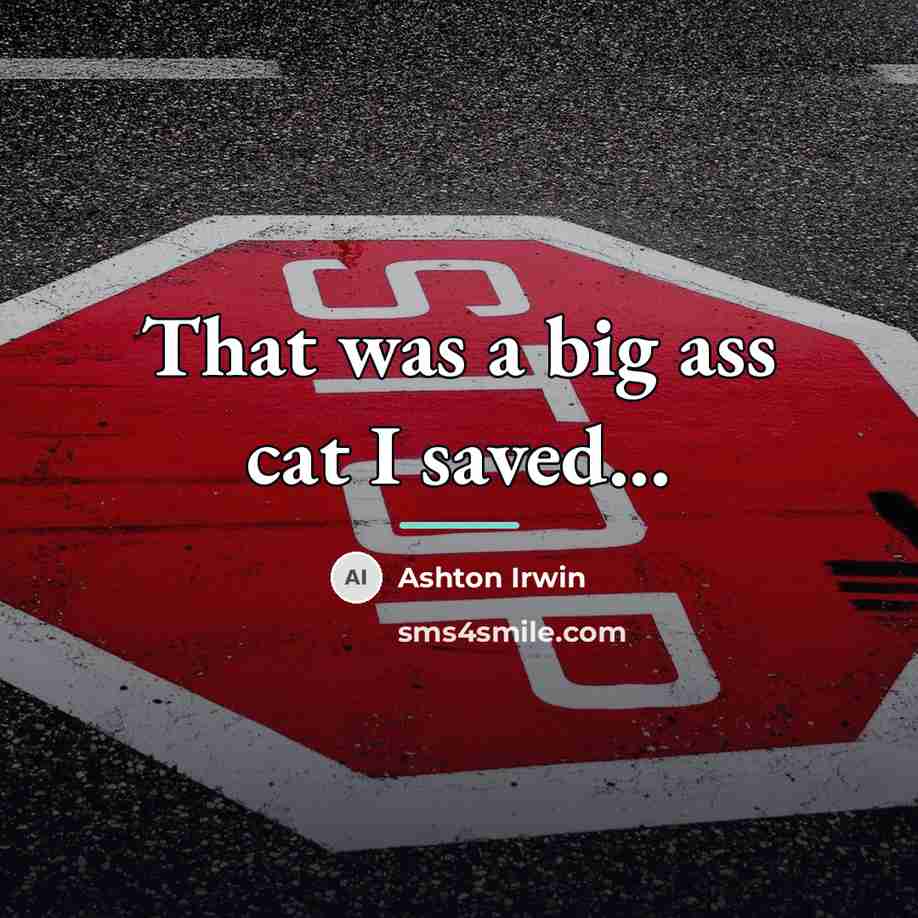 “That was a big ass cat I saved...…” quote by Ashton Irwin