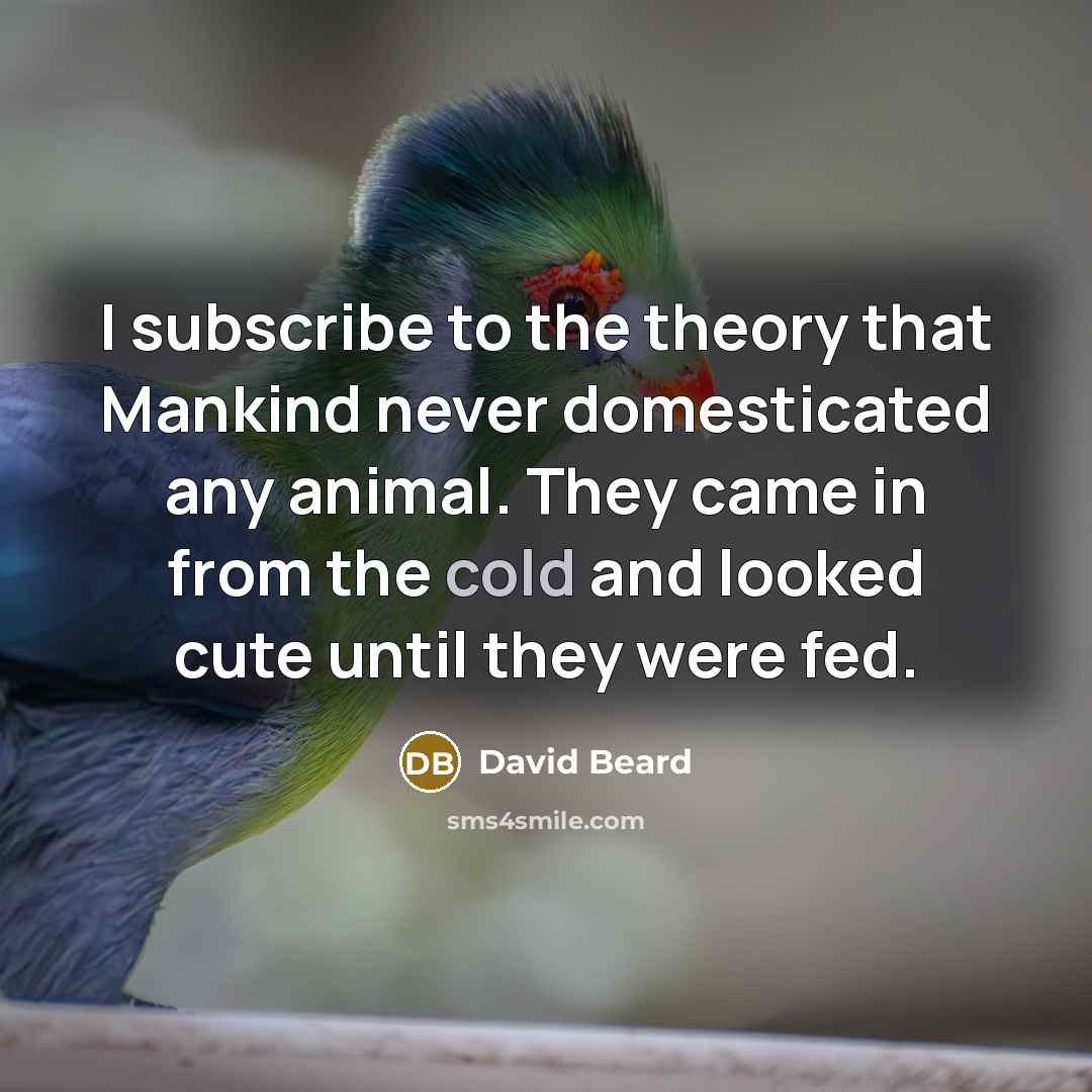 “I subscribe to the theory that Mankind never domesticated any animal. They came in from the cold and looked cute until they were fed.” quote by David Beard