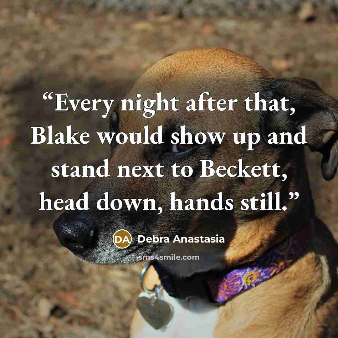 “Every night after that, Blake would show up and stand next to Beckett, head down, hands still.” quote by Debra Anastasia