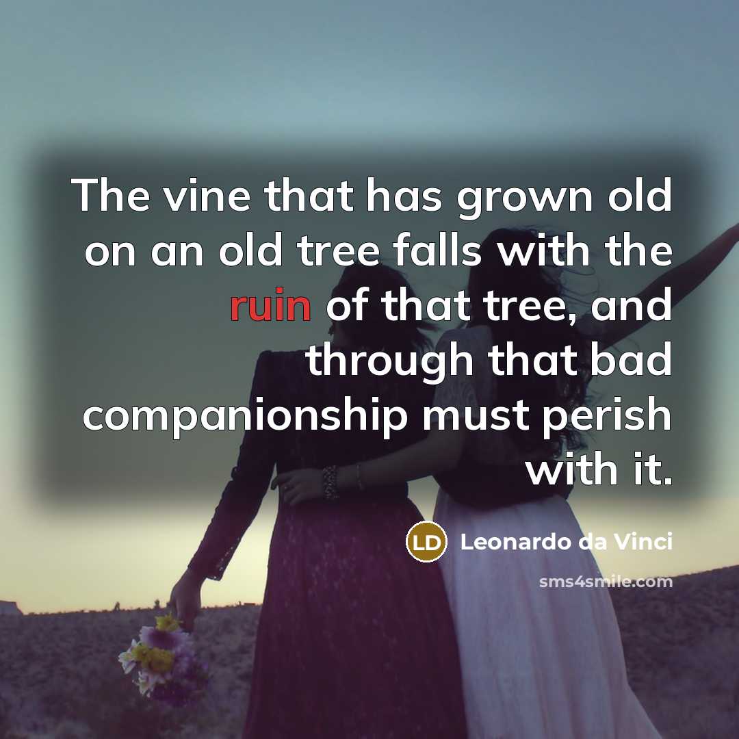 “The vine that has grown old on an old tree…” quote by Leonardo da Vinci