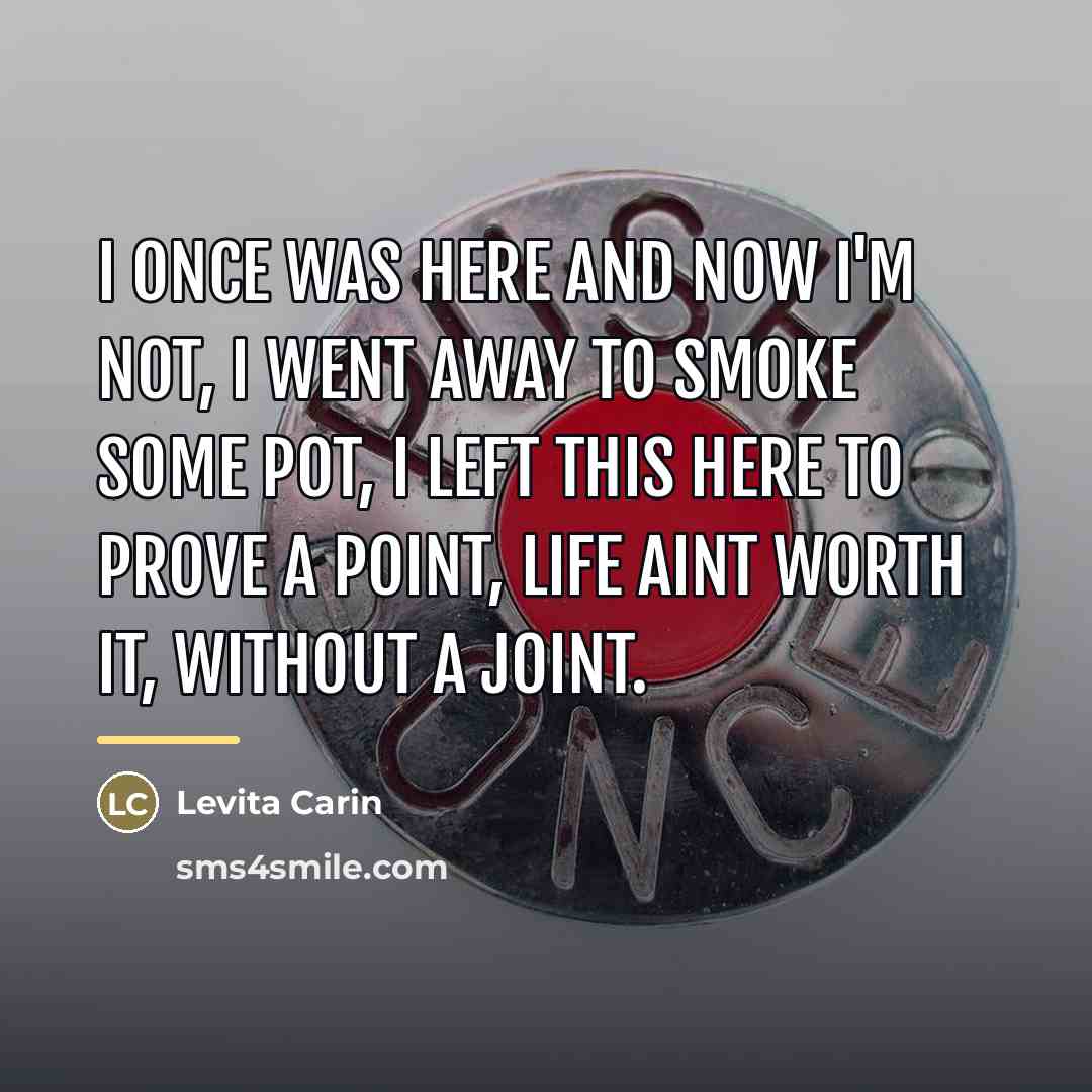 “I once was here and now I'm not, I went…” quote by Levita Carin