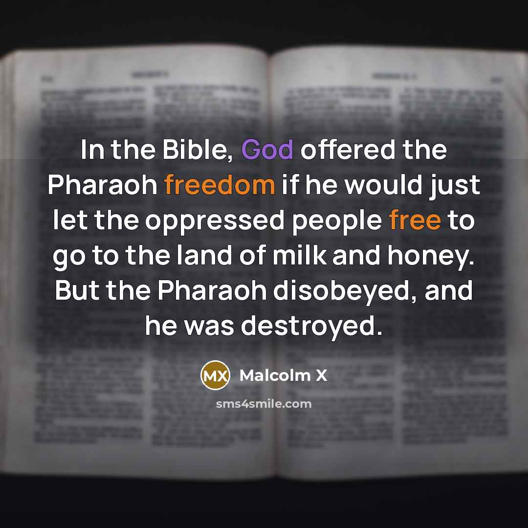 “In the Bible, God offered the Pharaoh freedom if he would just let the oppressed people free to go to the land of milk and honey. But the Pharaoh disobeyed, and he was destroyed.” quote by Malcolm X