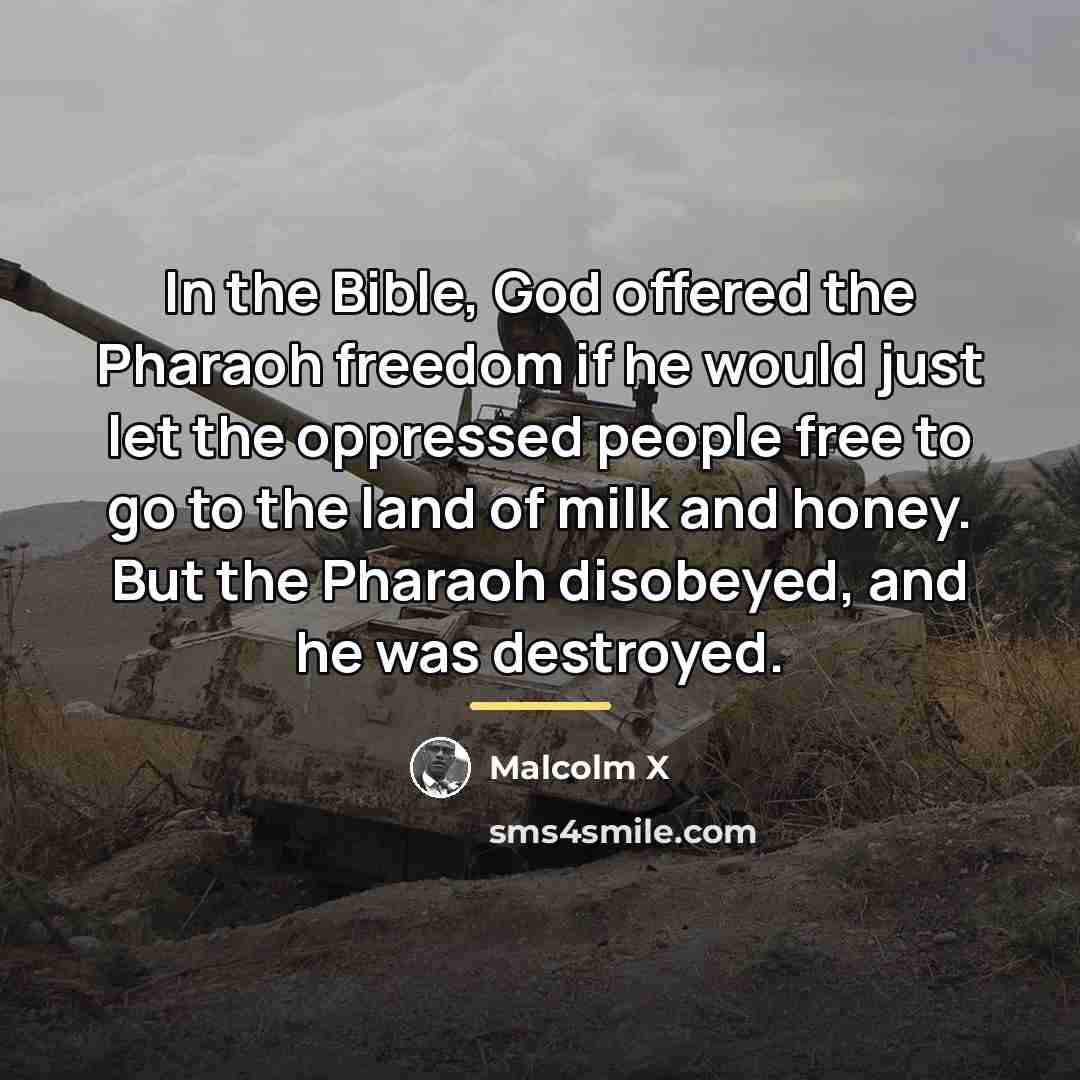 “In the Bible, God offered the Pharaoh freedom if he…” quote by Malcolm X