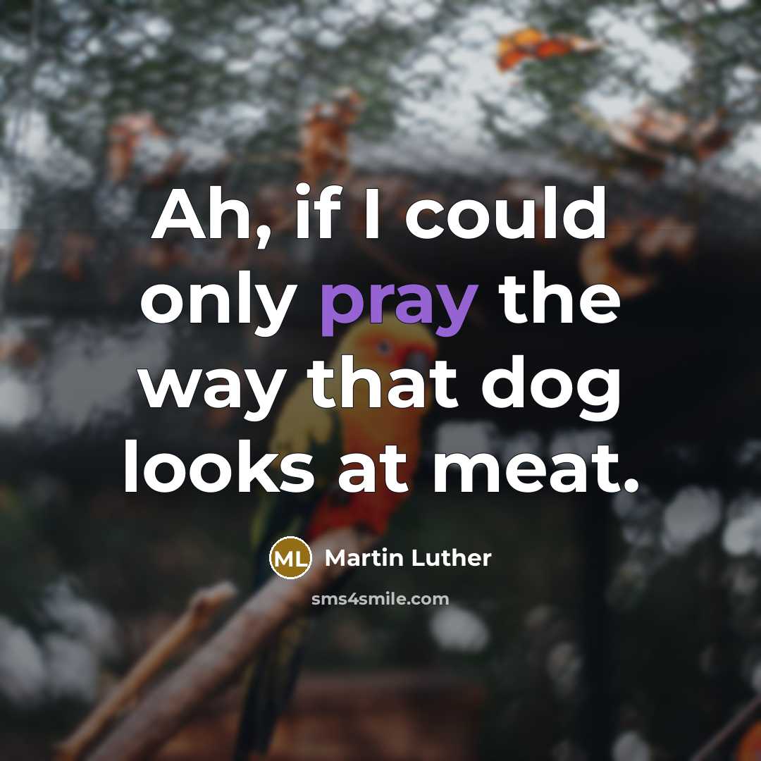 “Ah, if I could only pray the way that dog looks at meat.” quote by Martin Luther