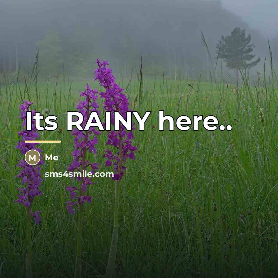 “Its RAINY here..…” quote by Me