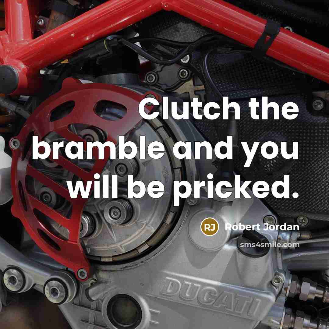 “Clutch the bramble and you will be pricked.…” quote by Robert Jordan