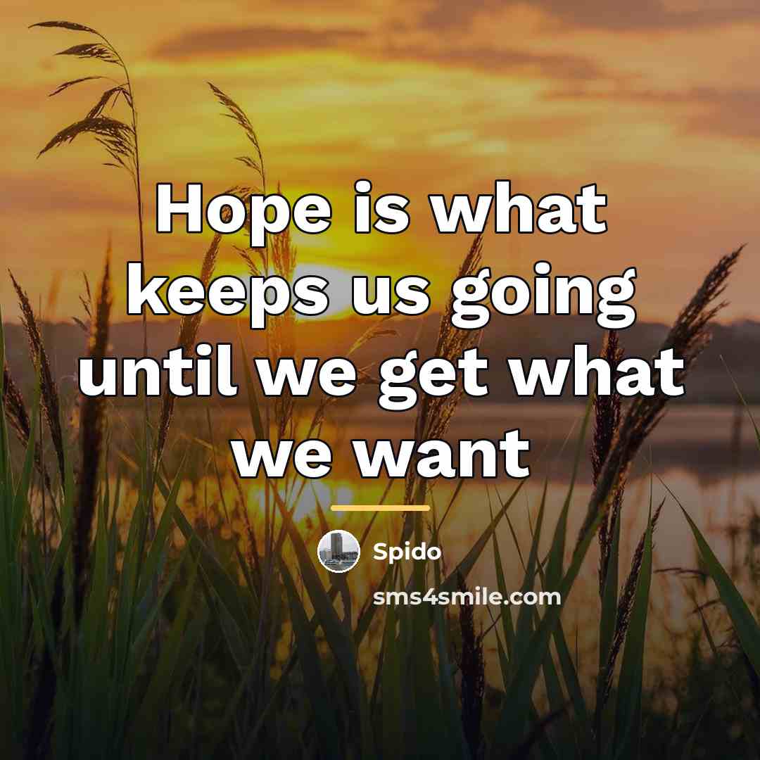 “Hope is what keeps us going until we get what…” quote by Spido