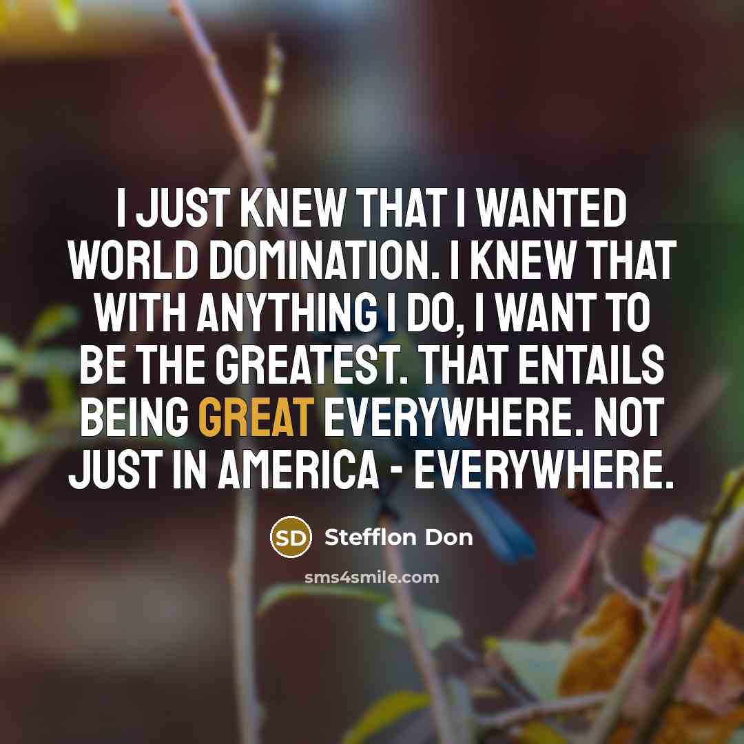 “I just knew that I wanted world domination. I knew…” quote by Stefflon Don