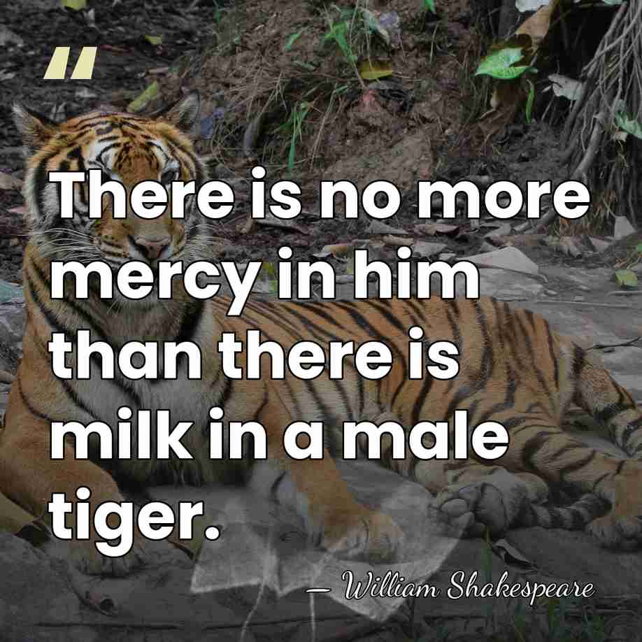 There is no more mercy in him than there is milk in&hellip; - William Shakespeare