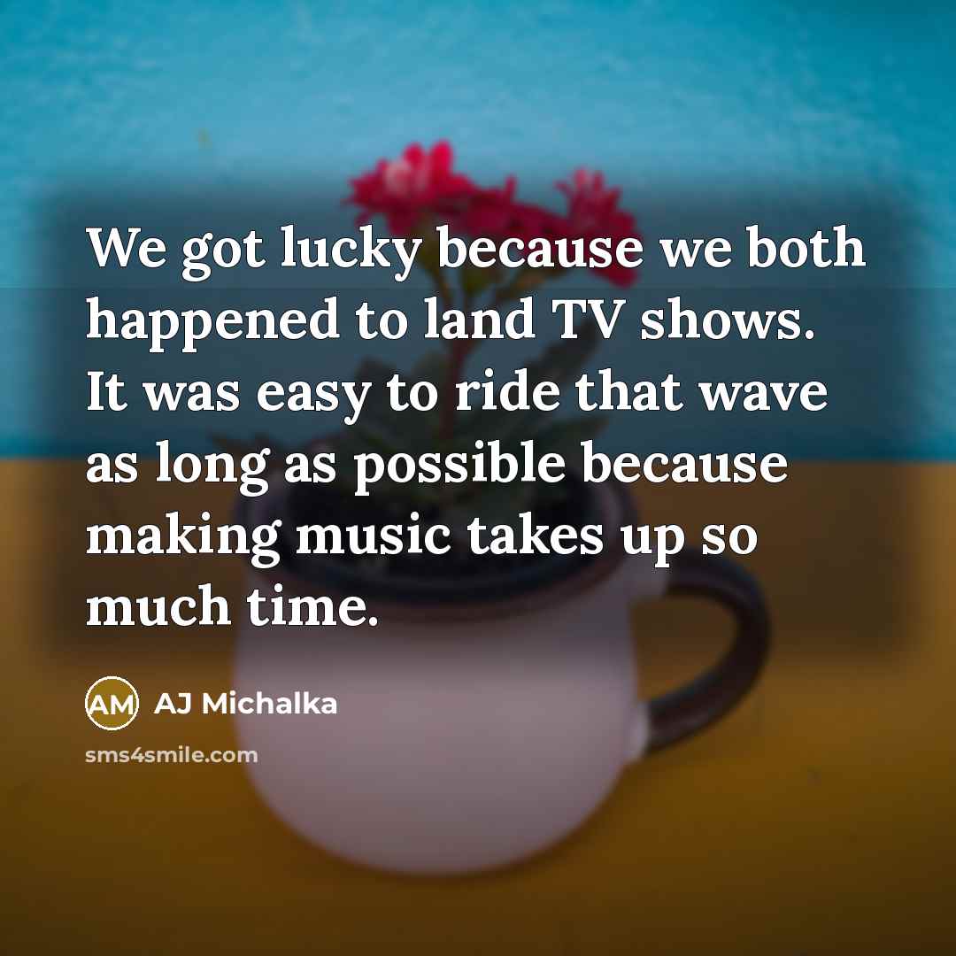 “We got lucky because we both happened to land TV…” quote by AJ Michalka