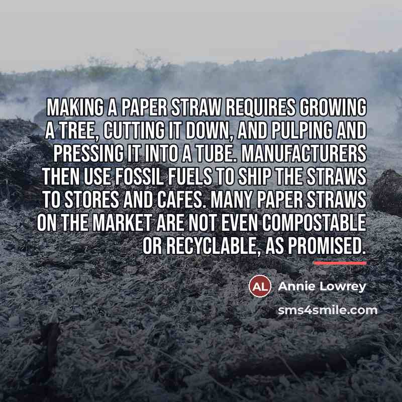 “Making a paper straw requires growing a tree, cutting it…” quote by Annie Lowrey