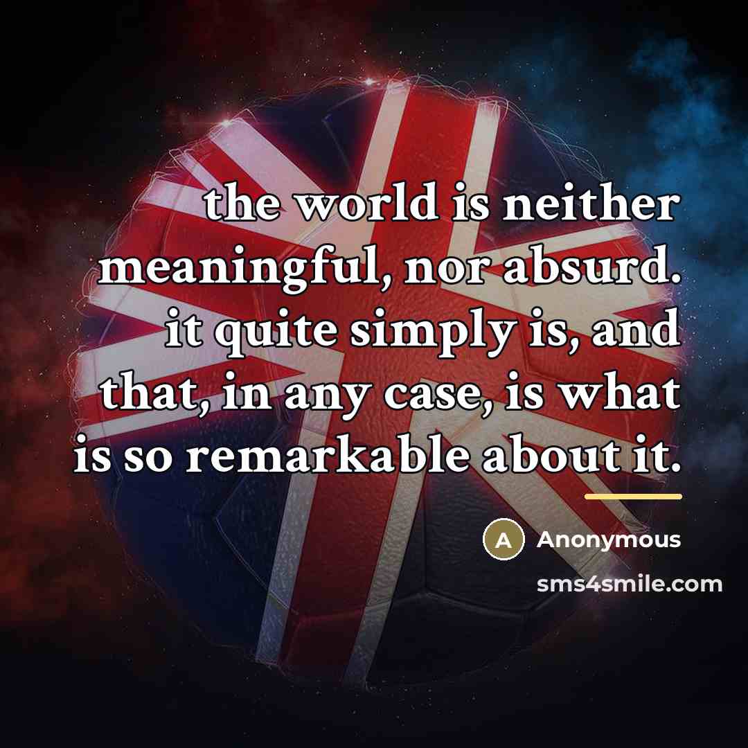 “the world is neither meaningful, nor absurd. it quite simply…” quote by Anonymous